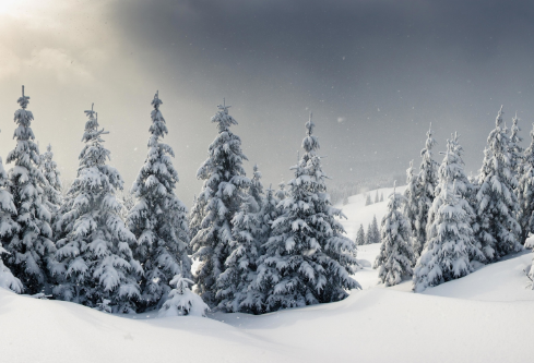 1702824790832869.png image.png