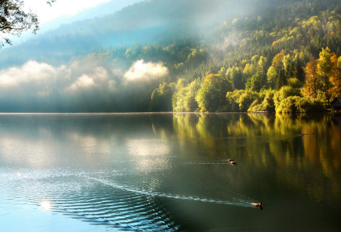 1702825122118518.png image.png