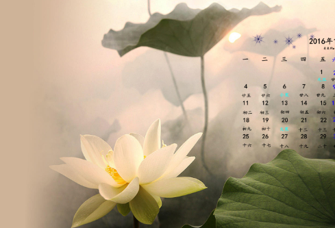 1702827278456069.png image.png