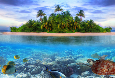 ​亡灵守护者阿努比斯简介 阿努比斯的故事介绍