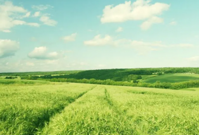 ​儿童励志小故事大道理