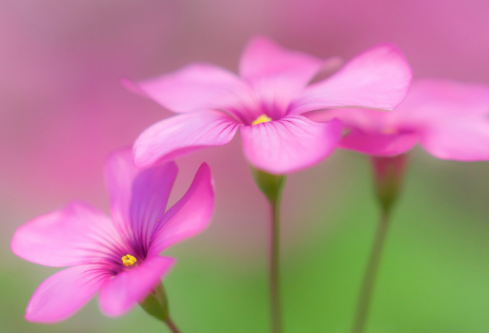 1702831261110564.png image.png