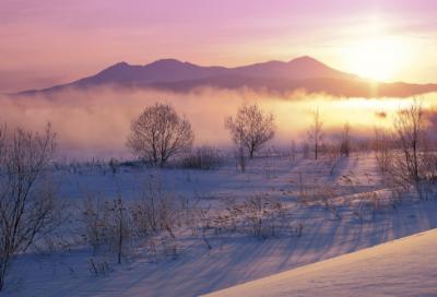 ​沈括的故事里关键人物都有谁