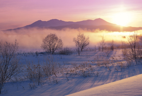 1702834246960948.png image.png