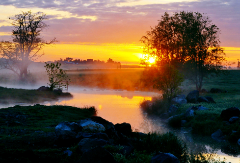 1702834909697533.png image.png