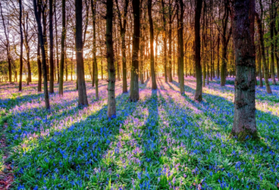 ​张太雷改名的故事：立志振兴中华