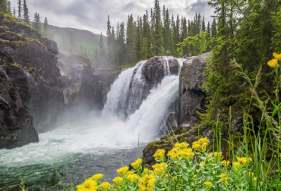 ​职场励志小故事