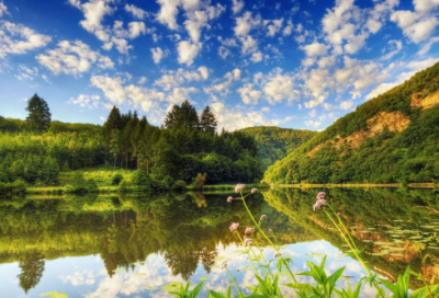 ​关于名人的友谊故事