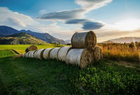 1704986950964556.png image.png