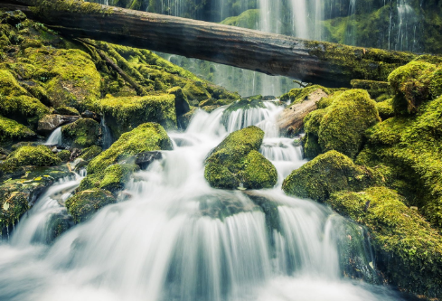 1704987116400084.png image.png