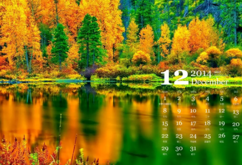 1704987282805459.png image.png