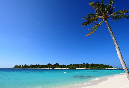 1704987613260809.png image.png