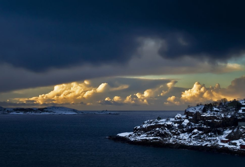 1704988443101914.png image.png