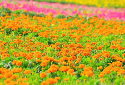 ​历史人物小故事四则