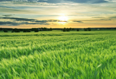 ​窦漪房简介,历史上的窦漪房,窦漪房的故事