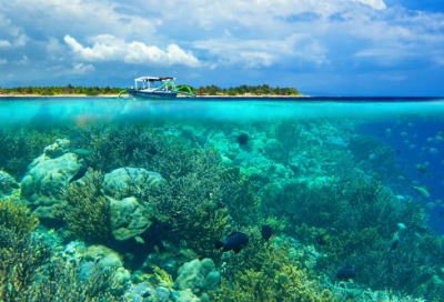 ​寓言故事200字