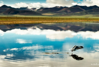 ​小学生英语寓言故事：井底之蛙